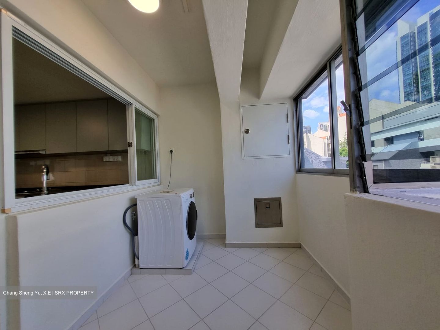 Dunearn Road (D11), Condominium #484958731